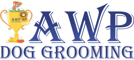 AWP Logo